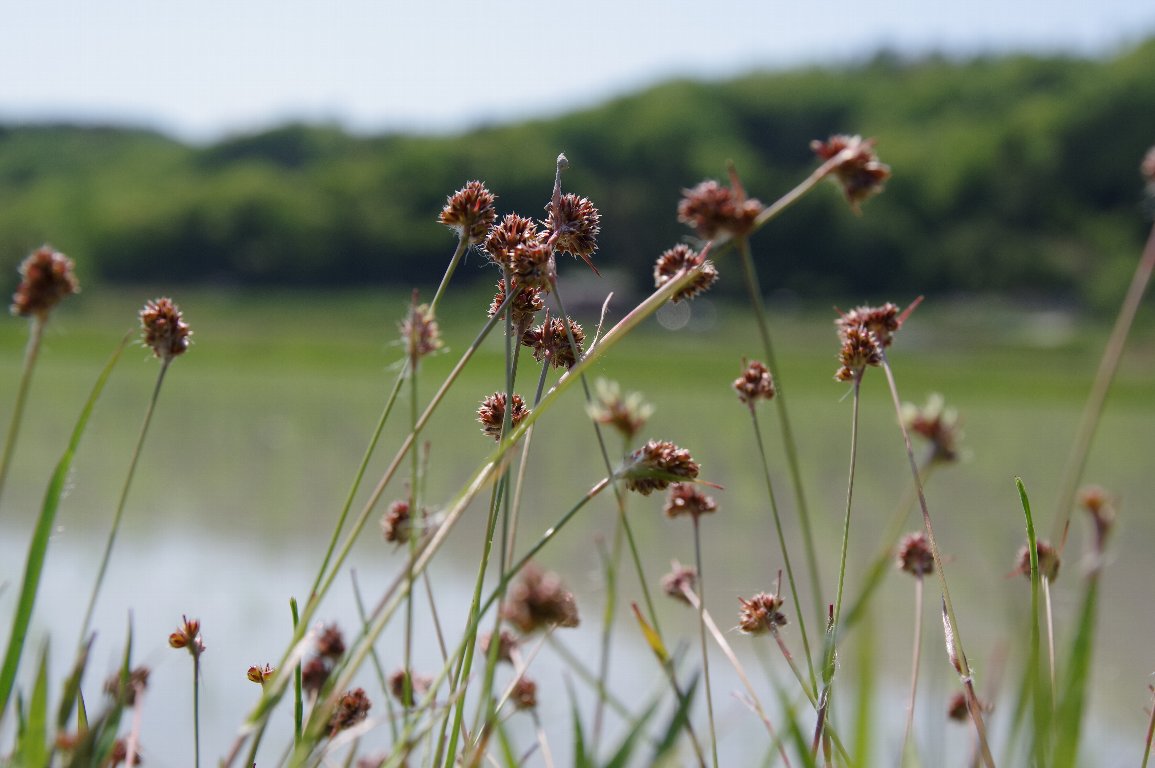 �X�Y���m����