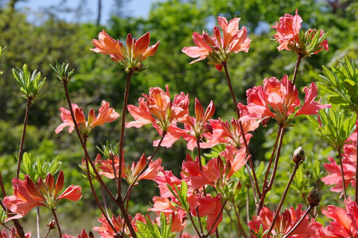 �����Q�c�c�W