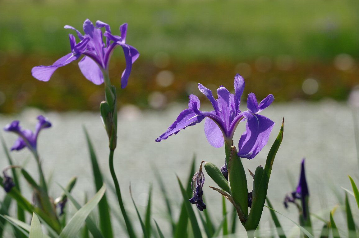 �J�L�c�o�^