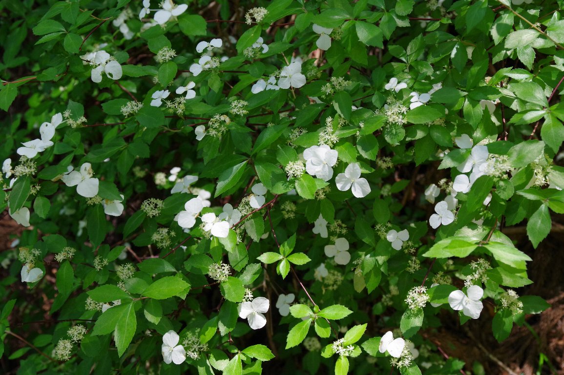 �R�K�N�E�c�M