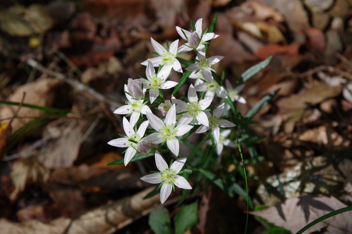 �Z���u��