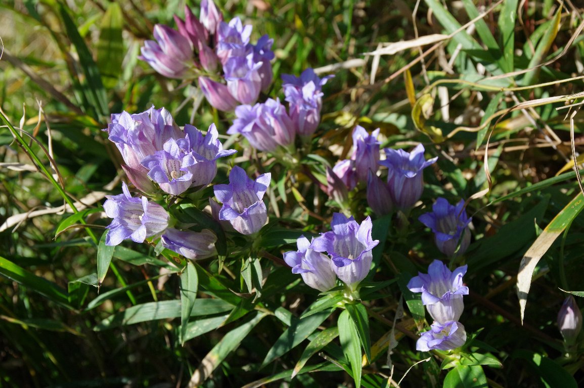 �����h�E