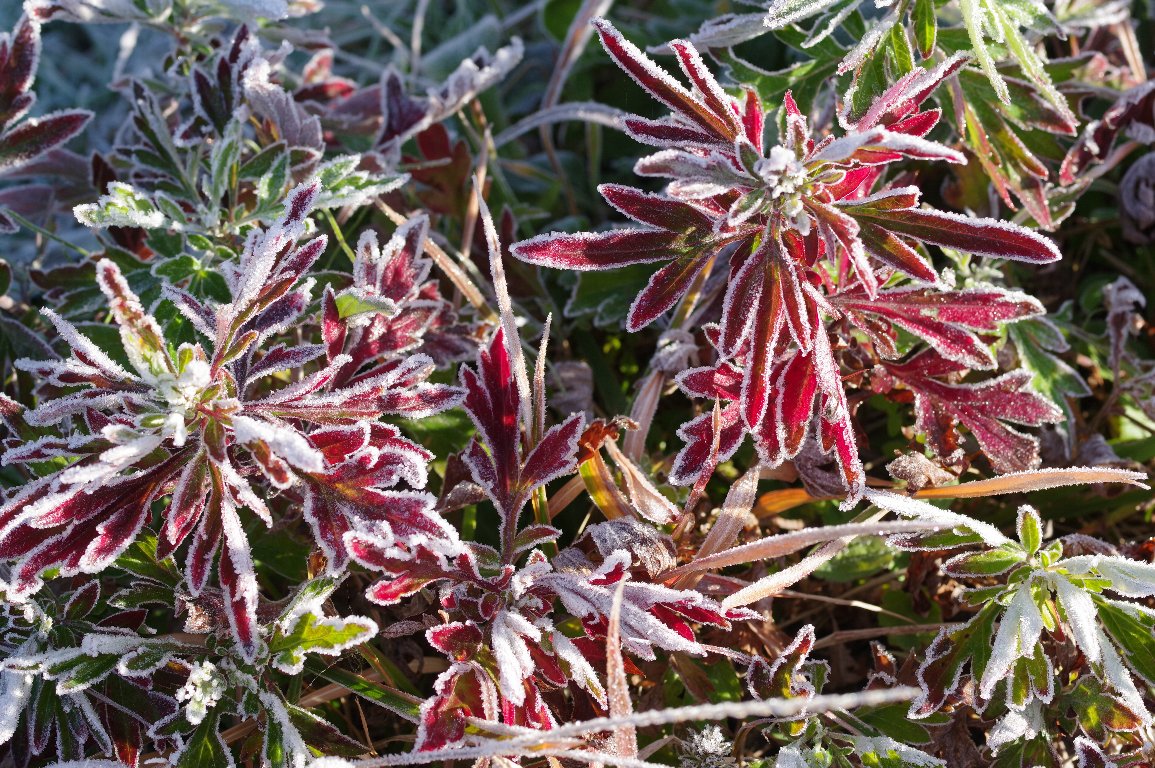 �������̑��F���~