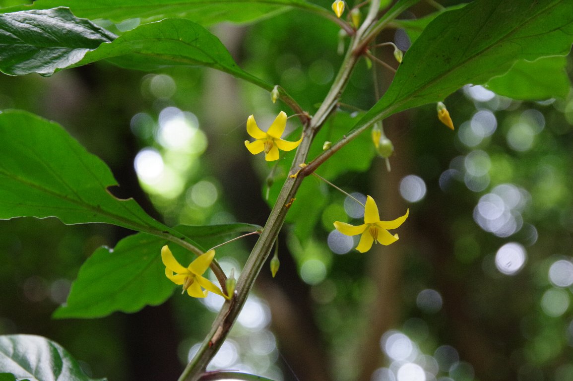 �����R�V�\�E