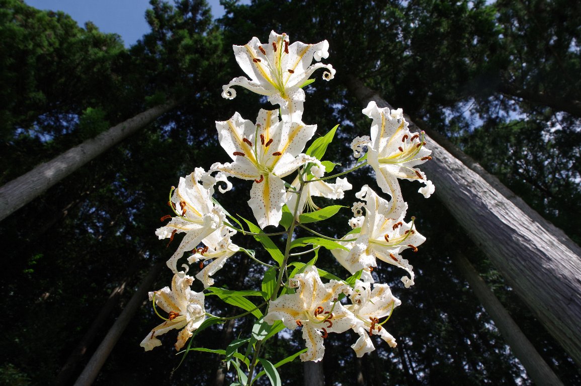 ���}����