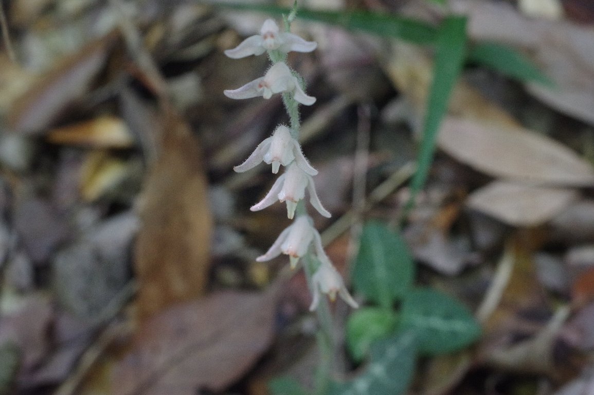 �~���}�E�Y��