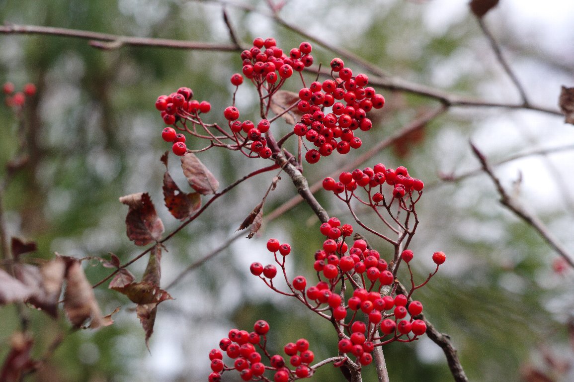 �i�i�J�}�h