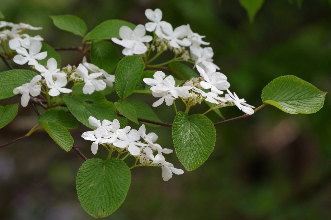 �I�I�J���m�L