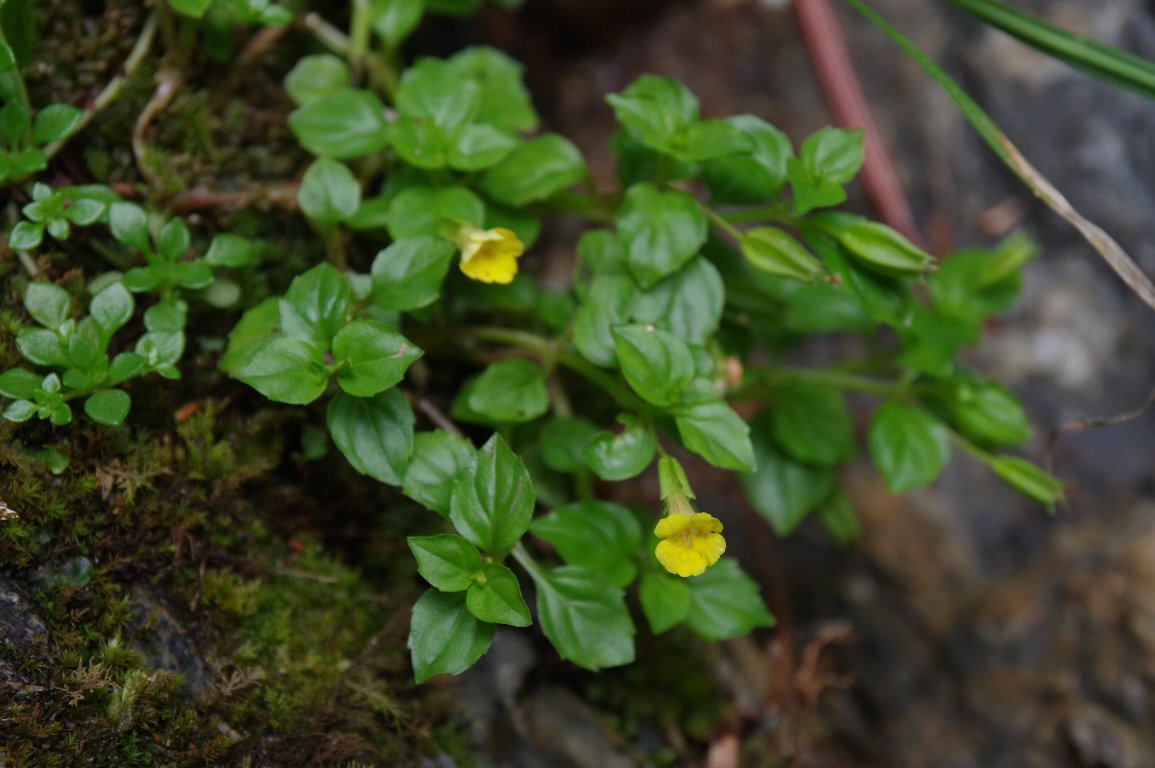 �~�]�z�I�Y�L