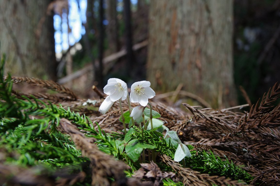 �~���}�J�^�o�~