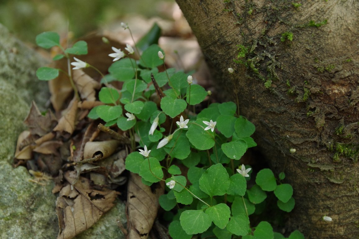 �^�j�M�L���E