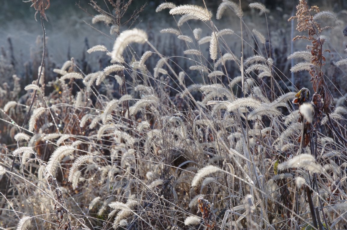 �A�L�m�G�m�R���O�T