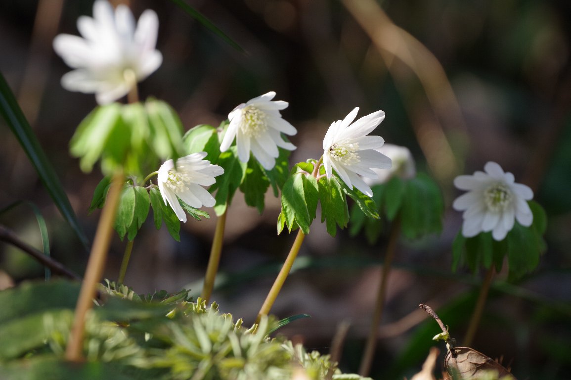 �A�Y�}�C�`�Q