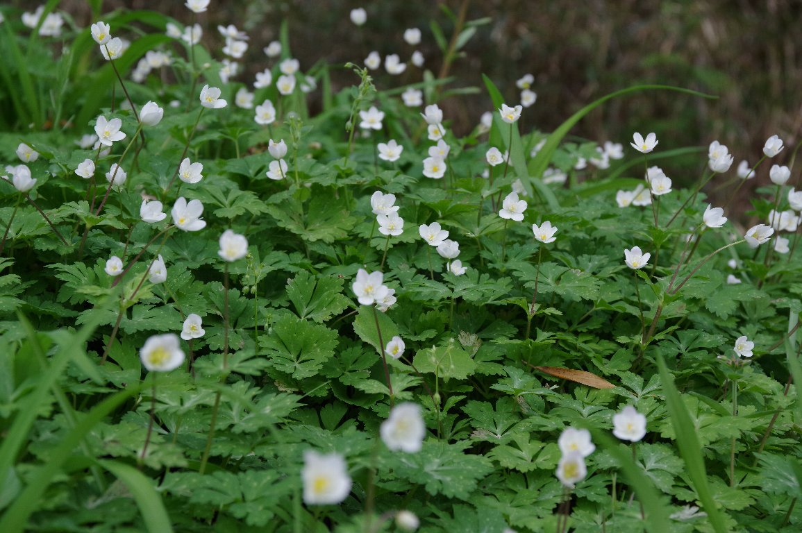 �j�����\�E