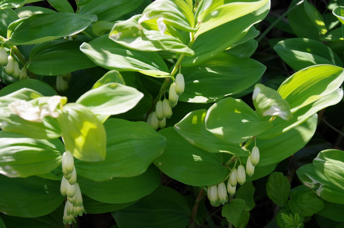 �A�}�h�R��