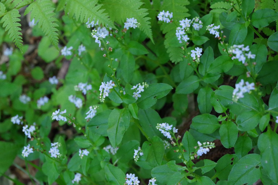 �~�Y�^�r���R