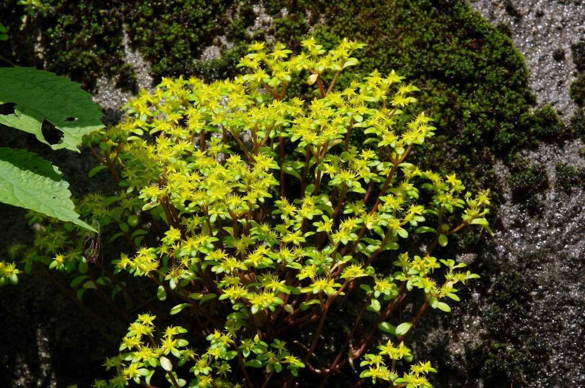 �}���o�}���l���O�T