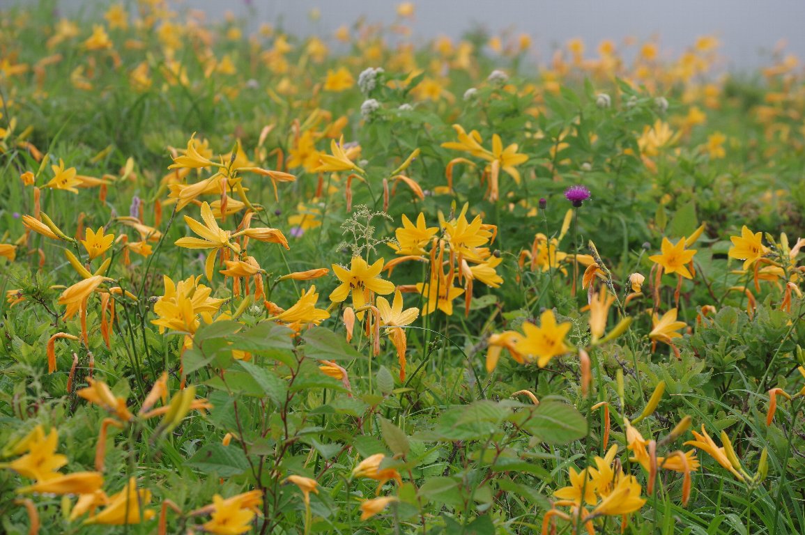 �j�b�R�E�L�X�Q