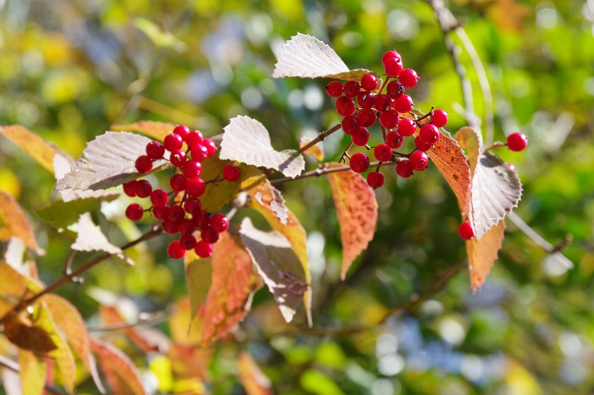 �~���}�K�}�Y�~