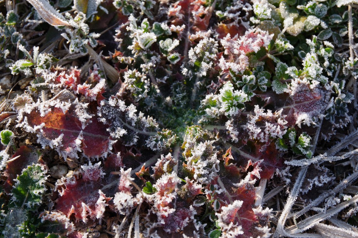 �������̑��F�ӓ~