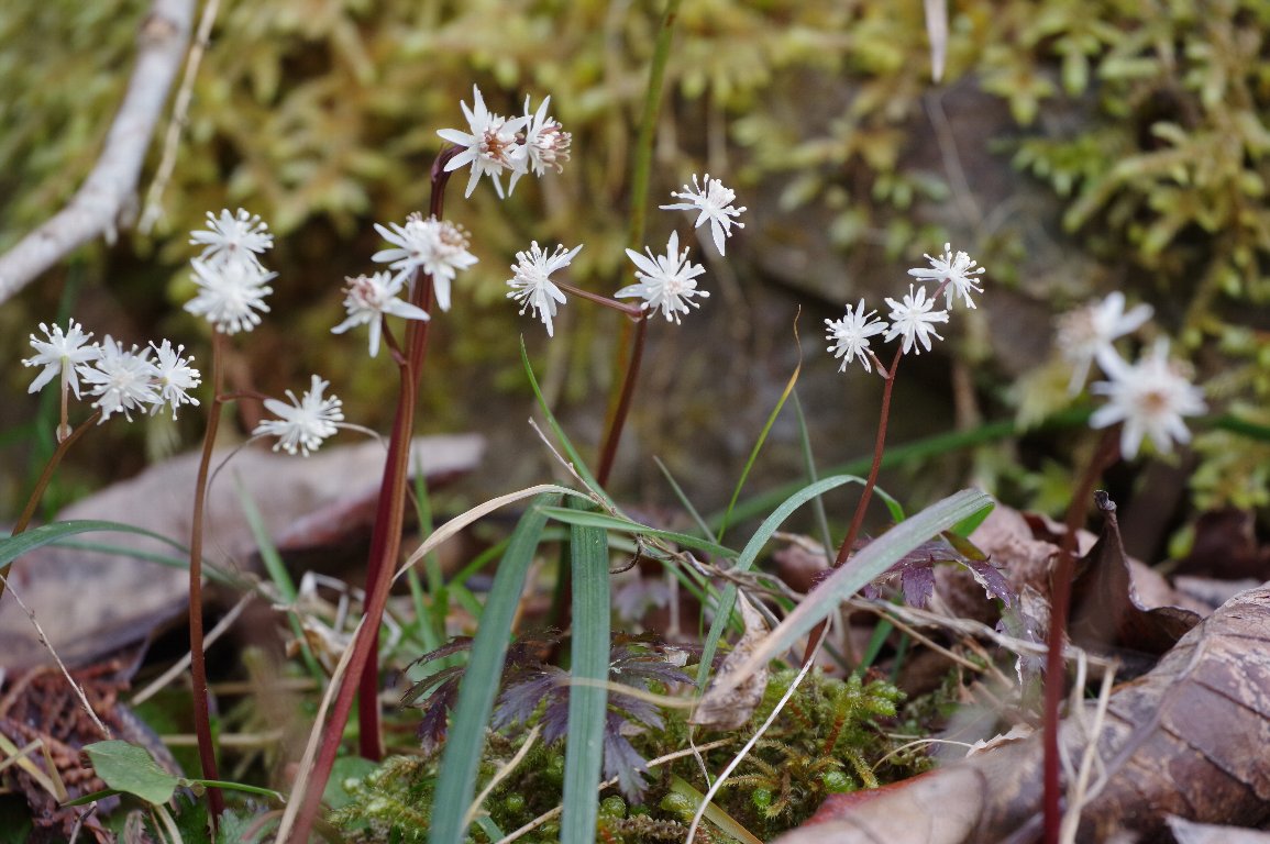 �I�E����