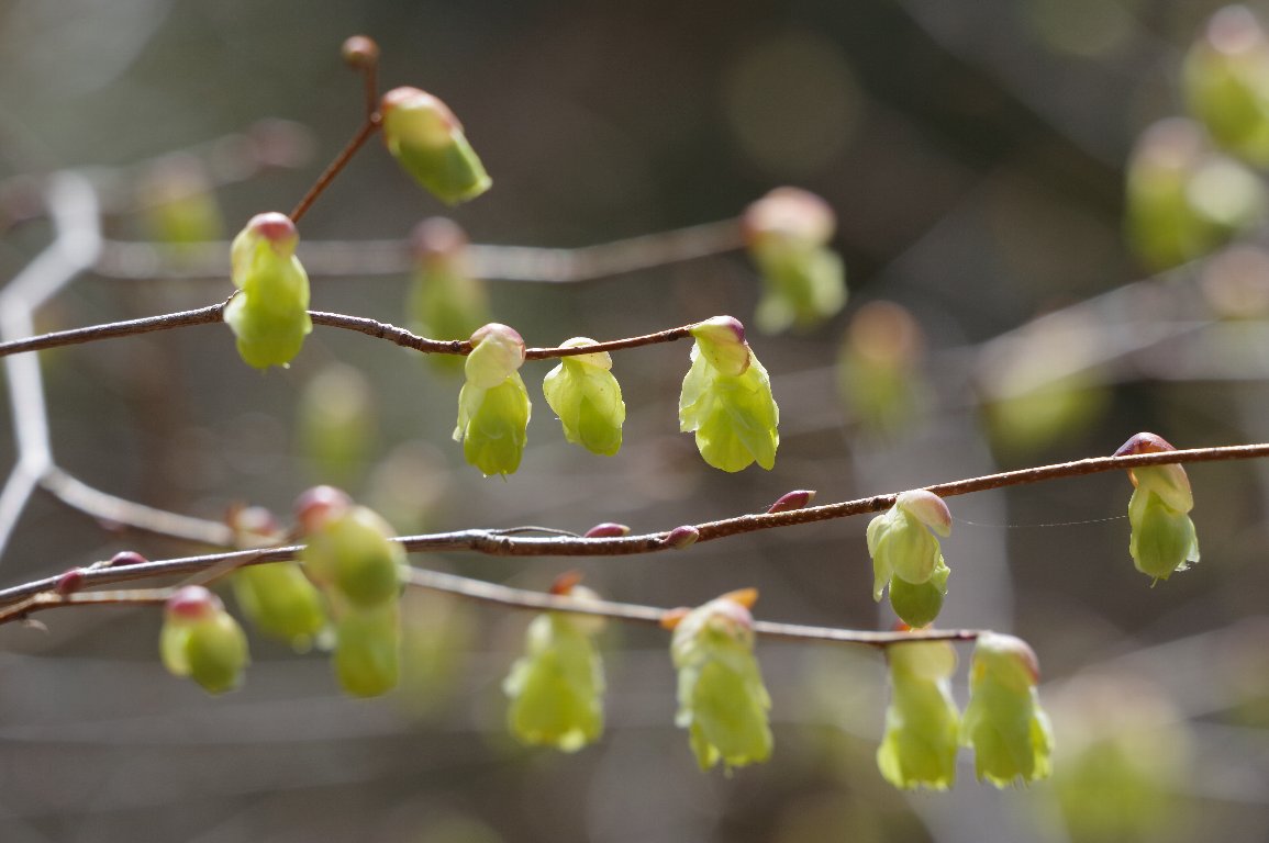 �q���E�K�~�Y�L