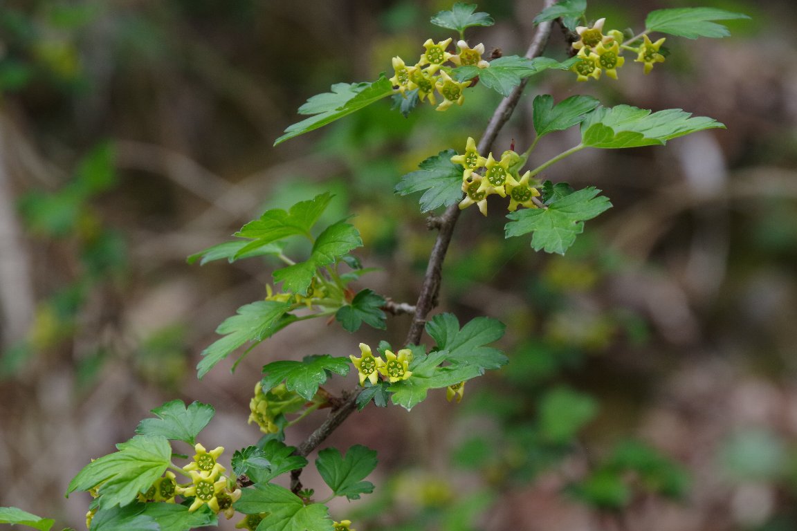 ���u�T���U�V