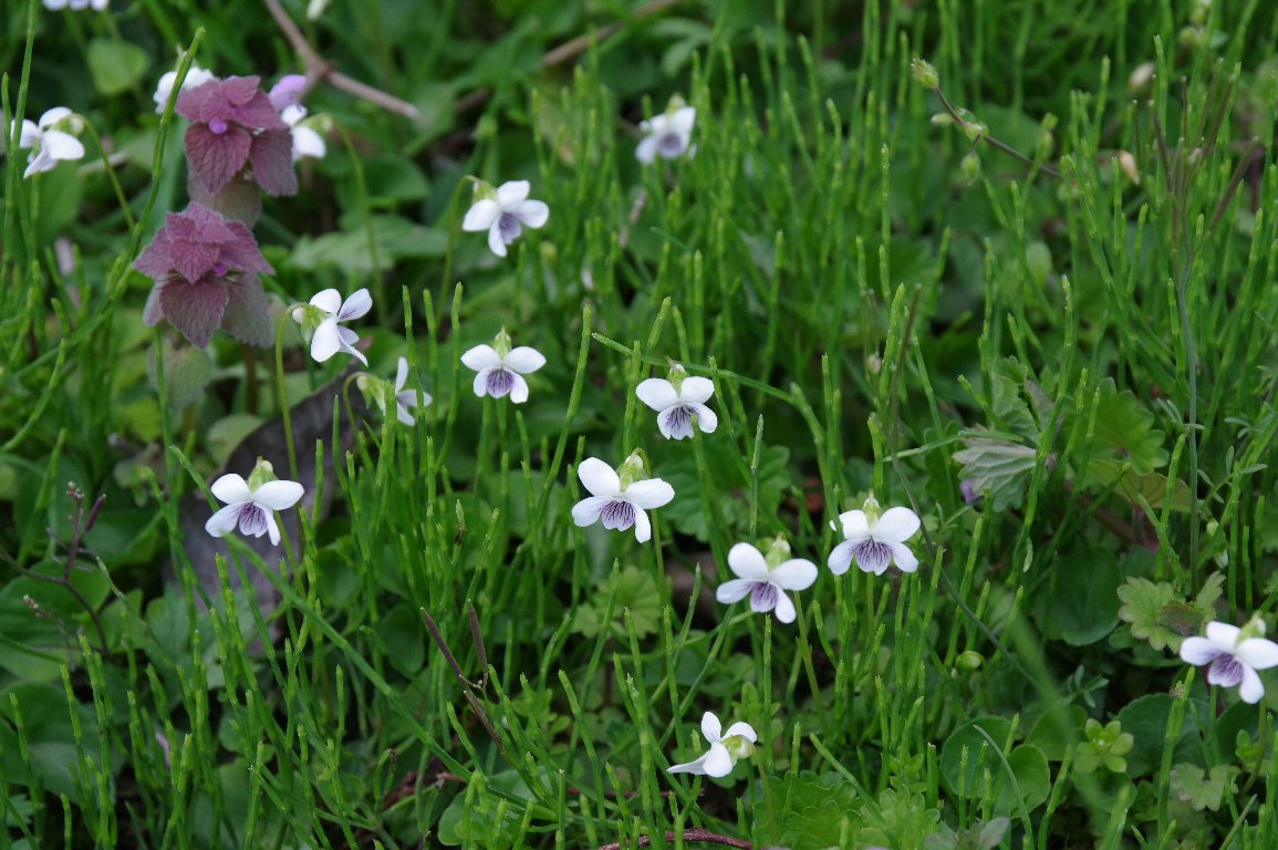 �c�{�X�~��