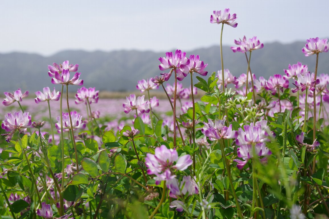 �����Q�\�E