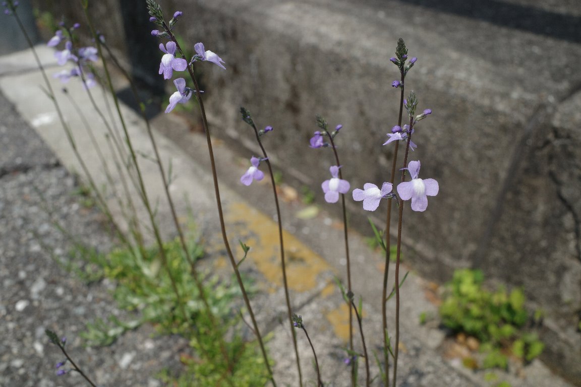 �}�c�o�E������