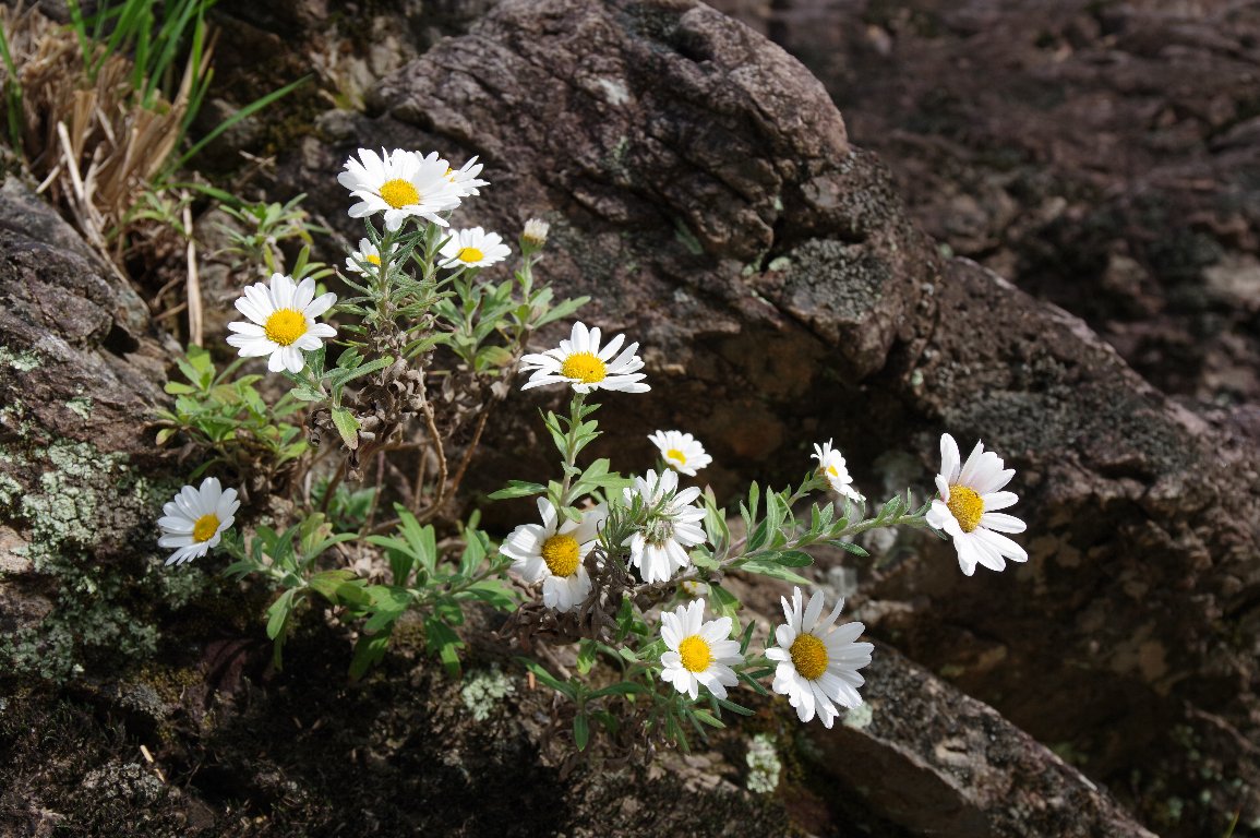 �i�J�K���m�M�N