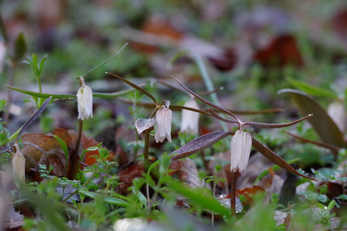 �z�\�o�i�R�o�C��