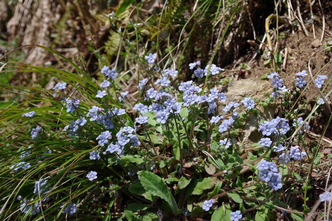 ���}�����\�E