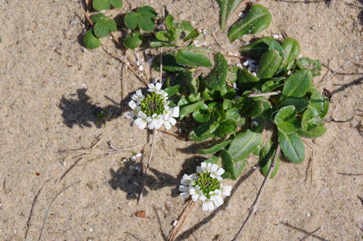 �n�}�n�^�U�I