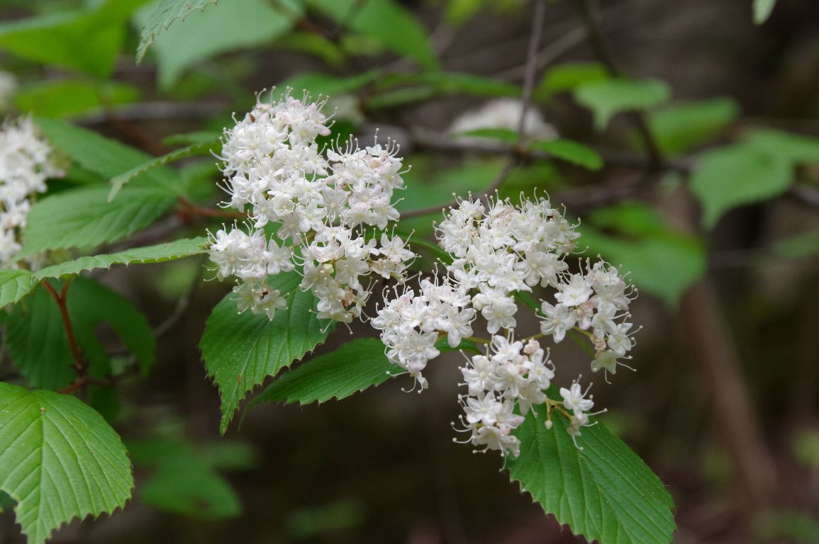 �~���}�K�}�Y�~