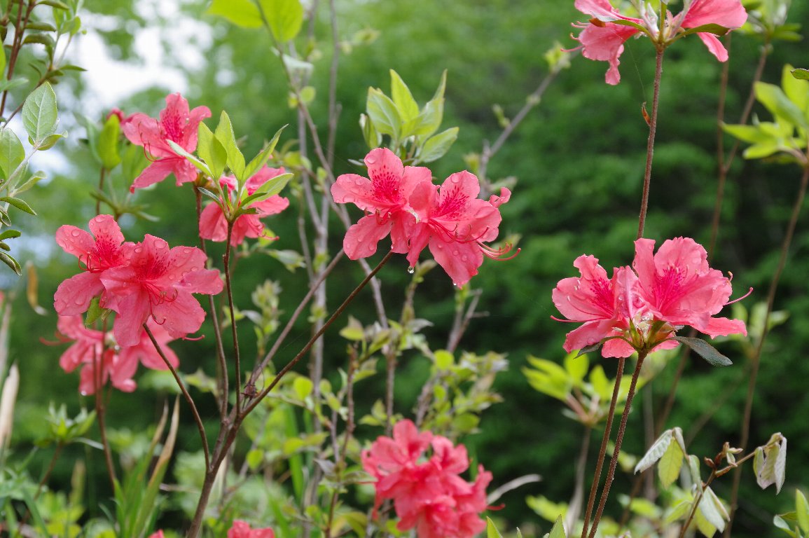 ���}�c�c�W