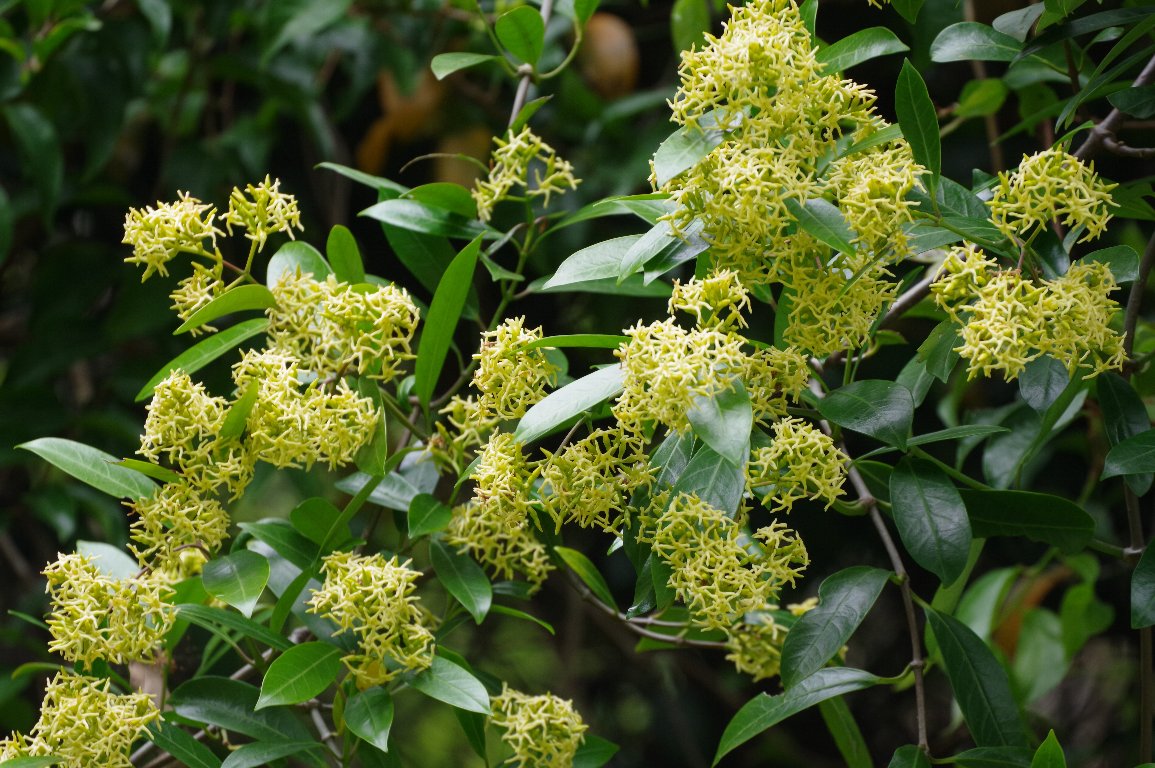 �T�J�L�J�Y��