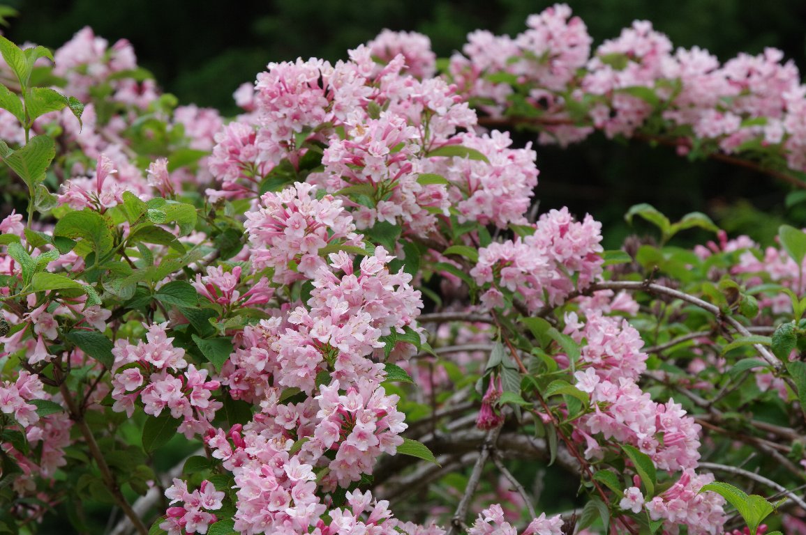 �^�j�E�c�M