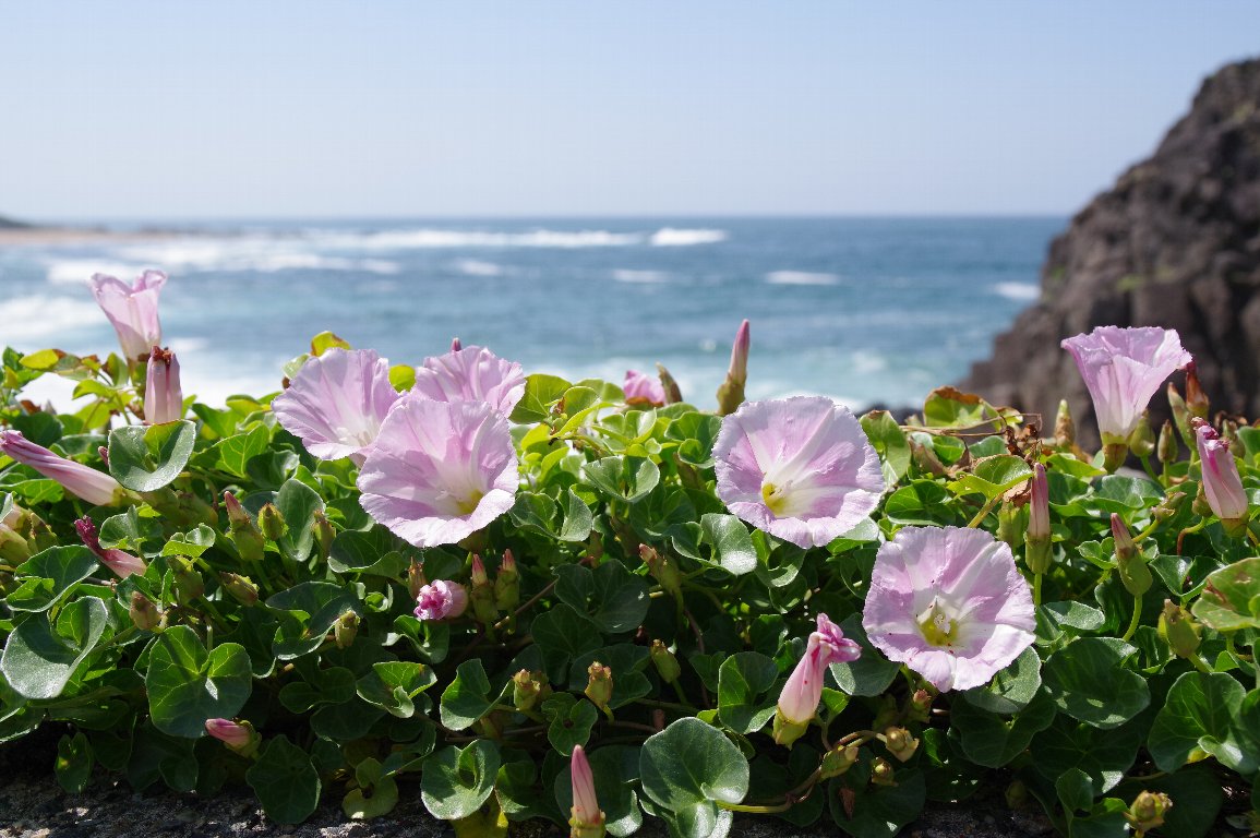 �n�}�q���K�I