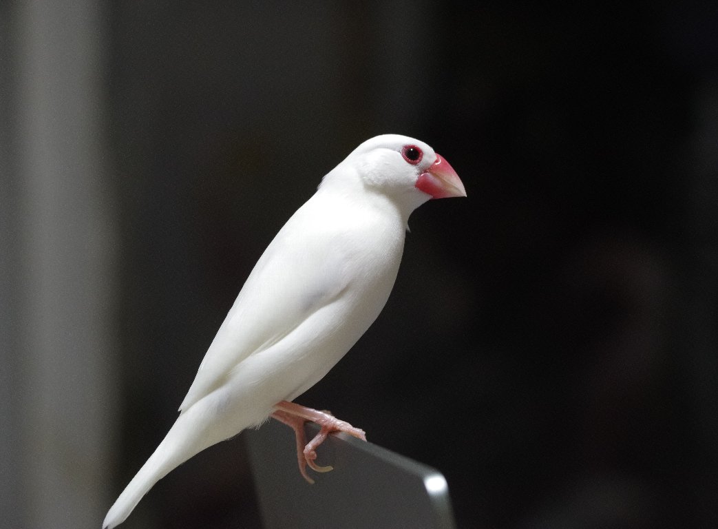 �������P