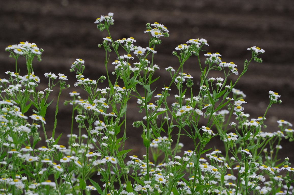 �q���W���I��