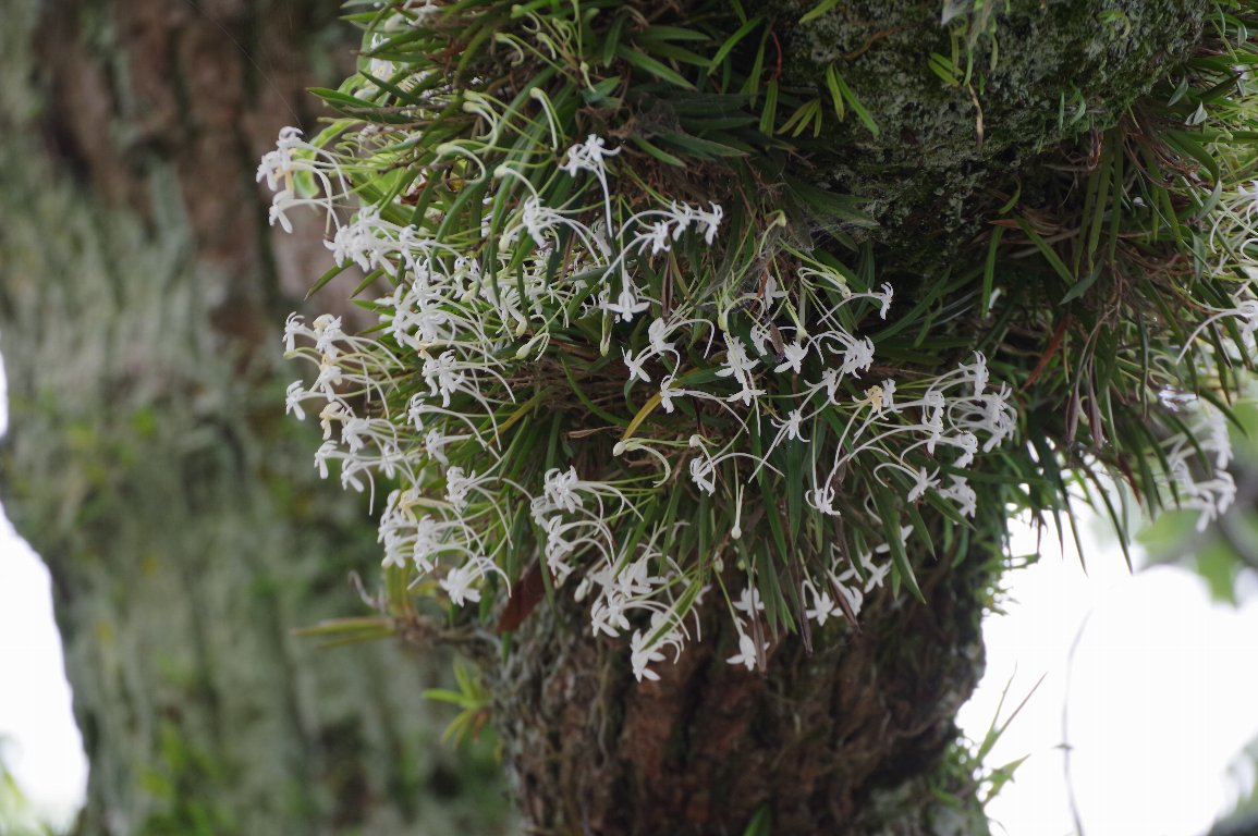 �t�E����