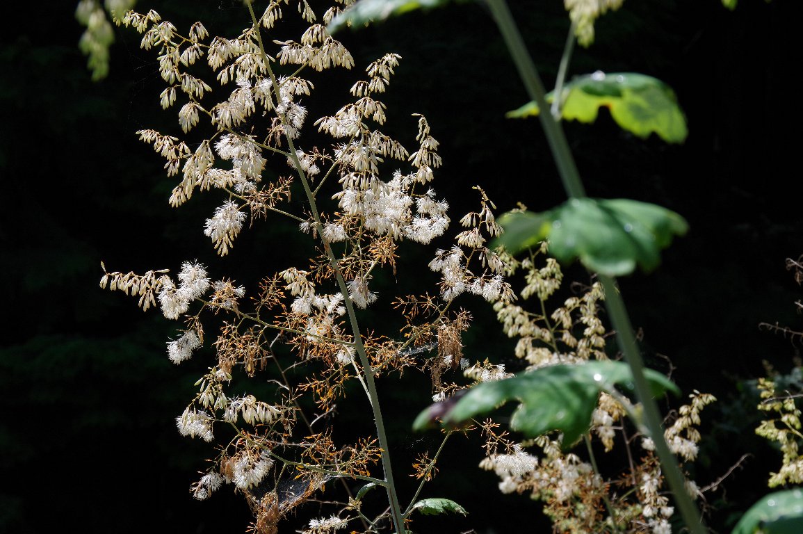 �^�P�j�O�T�i�P�j