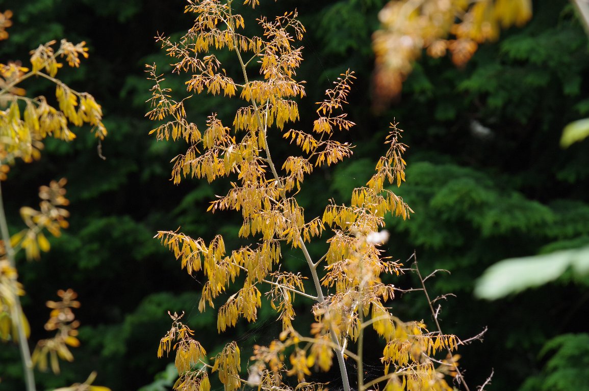 �^�P�j�O�T�i�Q�j