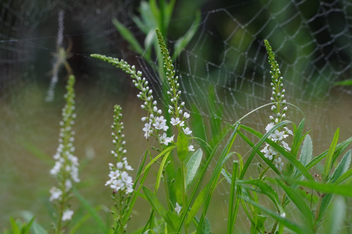 �k�}�g���m�I