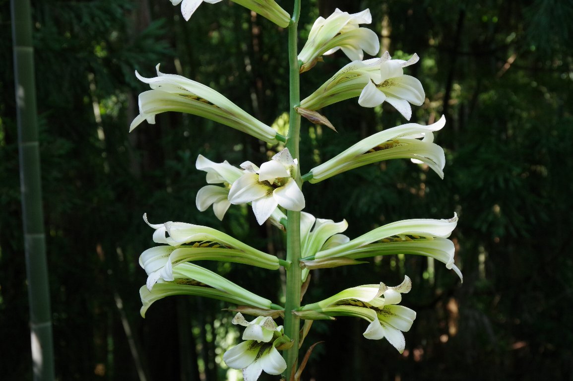 �E�o����