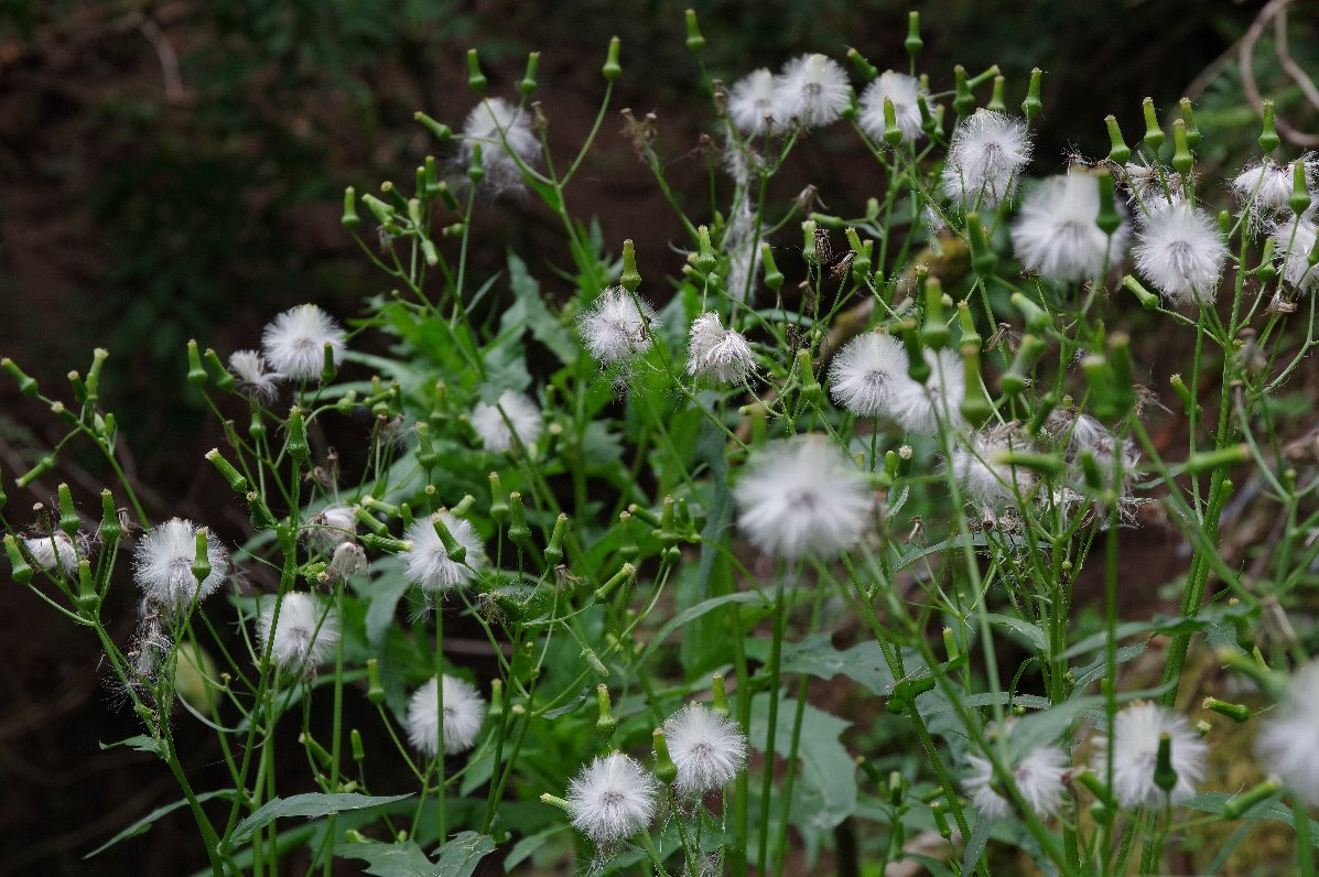 �_���h�{���M�N