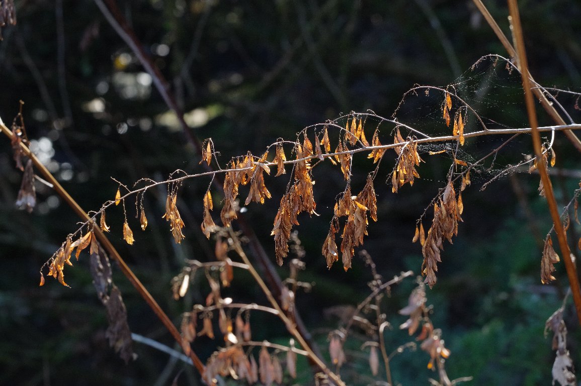 �^�P�j�O�T