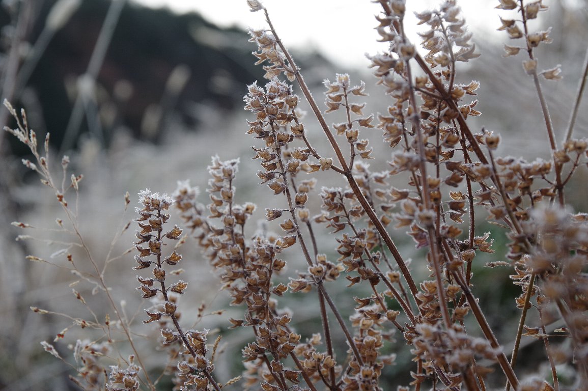 ���}�n�b�J