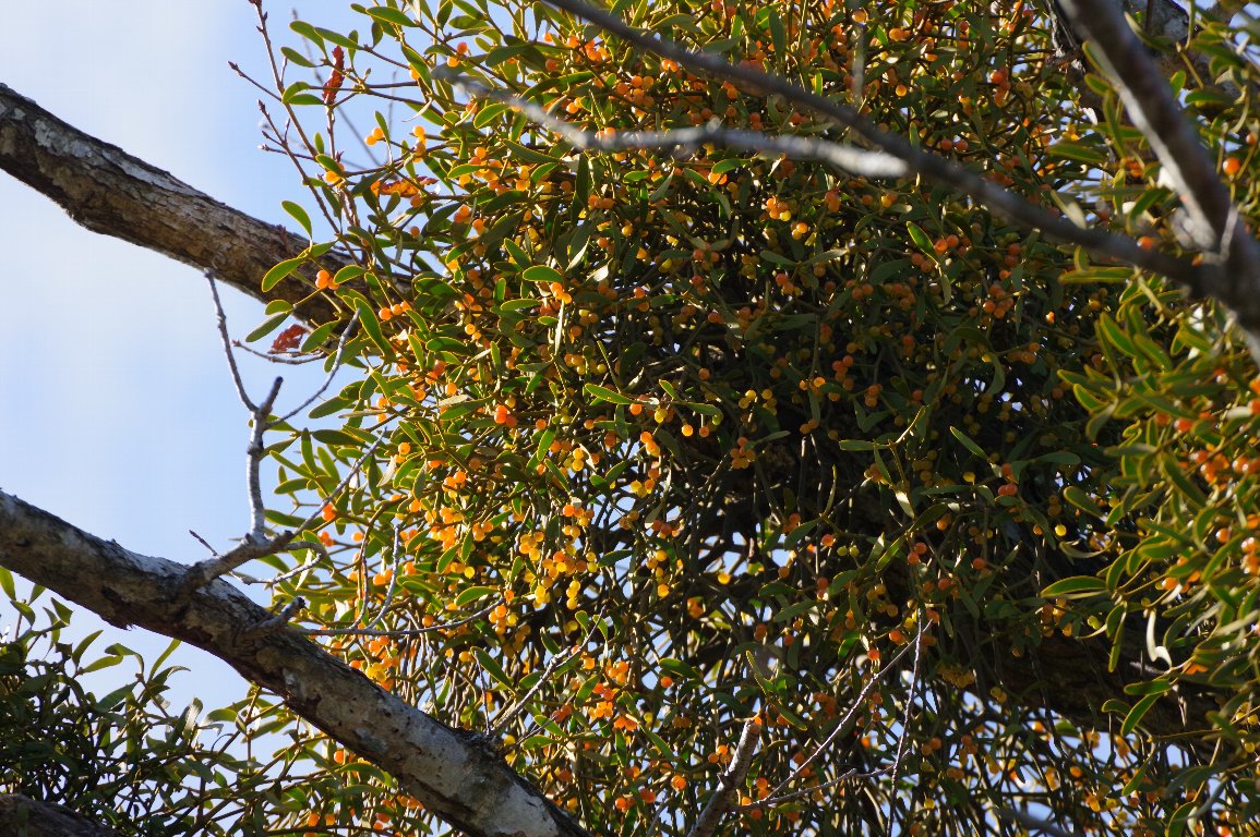 ���h���M